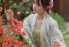 兔子Zzz不吃胡萝卜 - NO.73 宫墙柳 [43P-445MB]-美图岛
