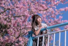 [YITUYU艺图语]2023.02.19 异木棉花 萌芽儿o0[27+1P／442MB]-美图岛
